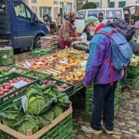 Chanced upon a market in the city of Freiburg