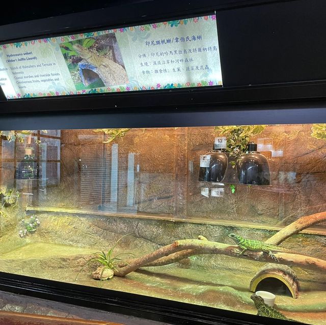 屯門公園-爬蟲館