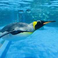 X Park 水族管 