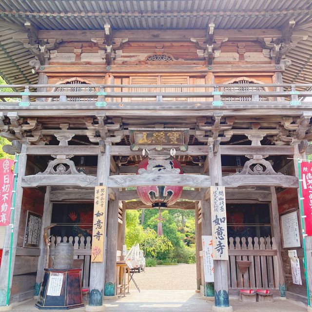 【京都】海と花のコントラスト