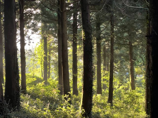 제주 금오름