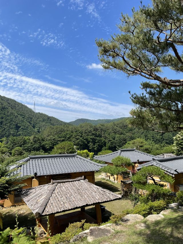 한옥 황토 온돌방에서의 뷰가 이렇게 좋다고🤎