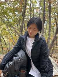 [경남/남해]남해의 핫플 보리암까지 단풍구경겸 등산하기🍁