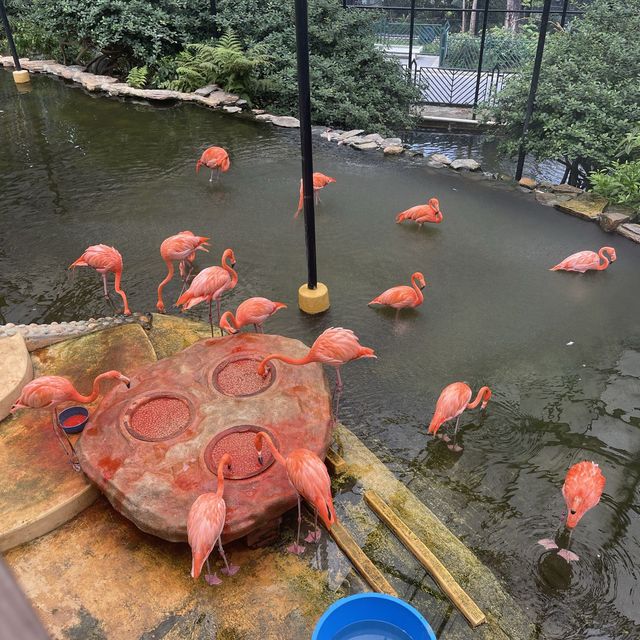 香港動植物公園 放電好地方