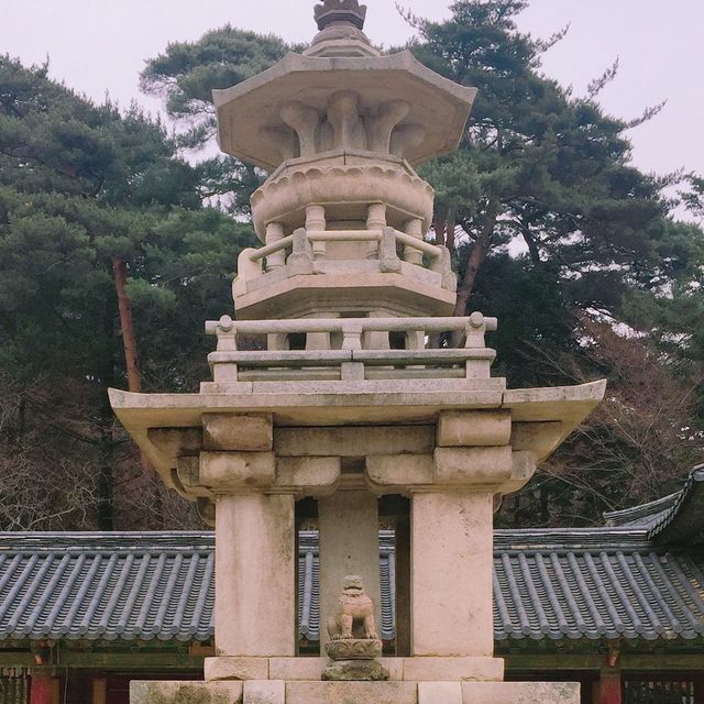 【韓國 慶州】世界遺產！冬季佛國寺