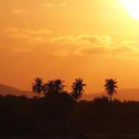 หาดวาสุกรี