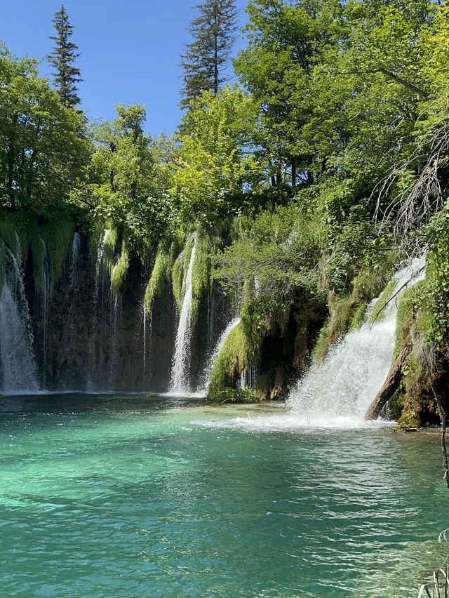 요정이 사는 곳 크로아티아 [Plitvice 플리트비체]🧚‍♀️
