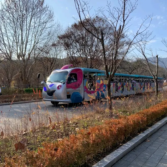 주말에 아이들과 가기 좋은 피크닉 장소 서울대공원