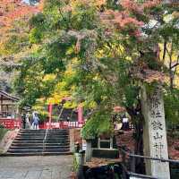 【奈良】歴史ある神社に美しい紅葉