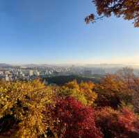 Hiking @ Namsan Park