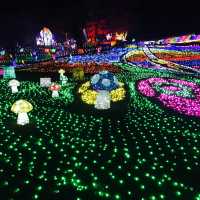 The most famous Illumination park in Japan