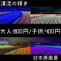 大井競馬場 東京メガイルミ【東京都/品川区】