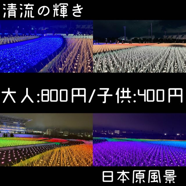 大井競馬場 東京メガイルミ【東京都/品川区】