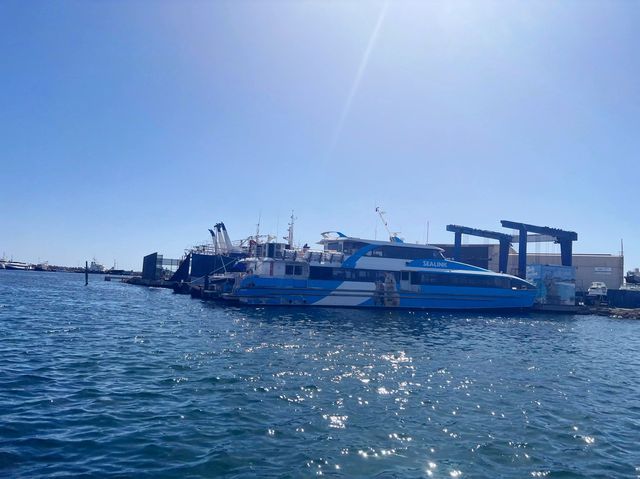 Rottnest Island!😎 Beachin’ The Beach!🤪