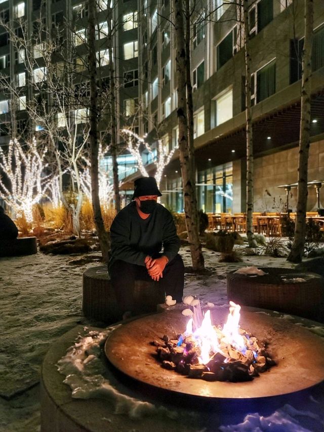 겨울 호캉스는 여기! 정선 파크로쉬 리조트앤웰니스