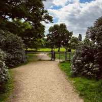 Enjoy the rhododendron forest in Langley