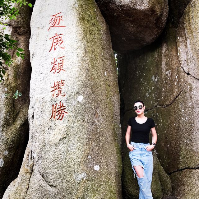 Tropical paradise forest  #Sanya 