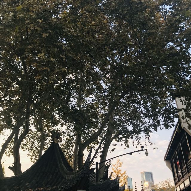 Nanjing, Jiangsu🌸