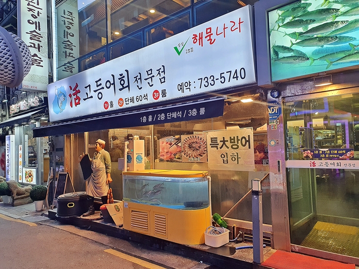 신선한 고등어 회를 즐길 수 있는 종각역 맛집｜Trip.Com 鍾路區