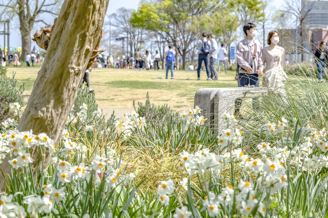 横浜フラワーガーデンのはじまり