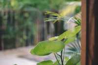 ลักษณ์คาเฟ่ คาเฟ่เปิดใหม่ คาเฟ่อุบล