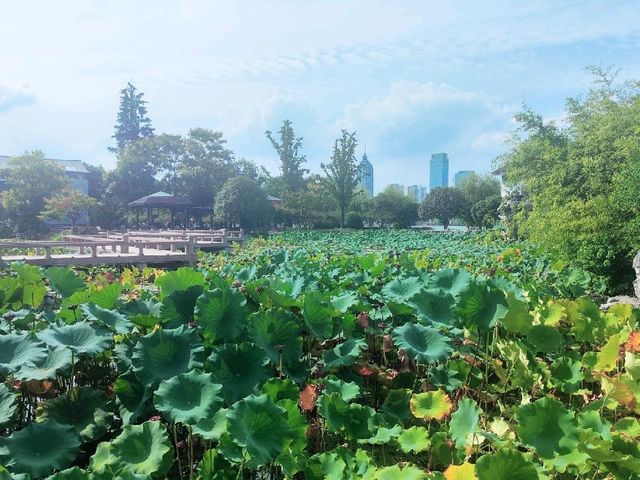 Jinji Lake; a reminder of Singapore