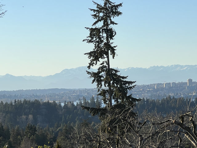 Colorful winter - Seattle