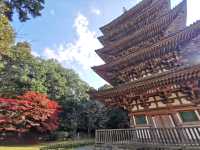 Autumn trip to Kyoto, Japan, enjoy the beauty of Bishamon-do and the red leaves of Daigo-ji Temple.