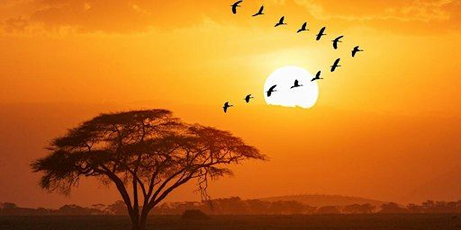 Creative writing and the planet | Plymouth Athenaeum