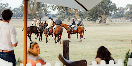 Mount William Station Polo Tournament 2024 | Mount William Station