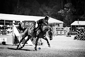 The $32,000 BFL Cup FEI Grand Prix | Caledon Equestrian Park