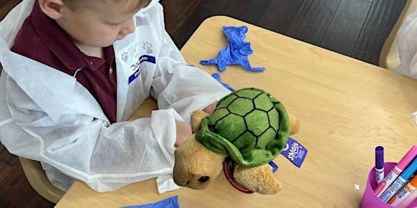 Marine Biologists Summer Camp Ages 6-11 SCA Community SW Calgary | SCA Community Association