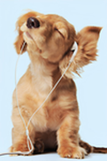 かいと世界旅行