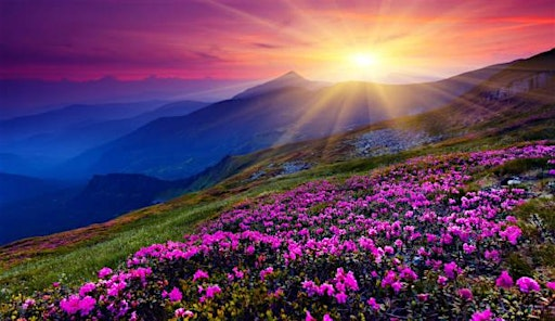 Clinical Hypnosis for Joy, Energy and Vitality (IN PERSON) | Kootenay Shambhala centre