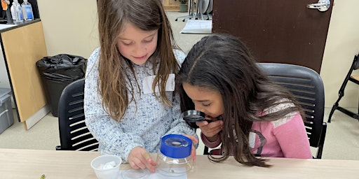 Habitat Heroes  | Grades 2-3 | Van Andel Institute for Education