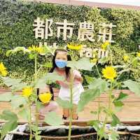 暑假好去處