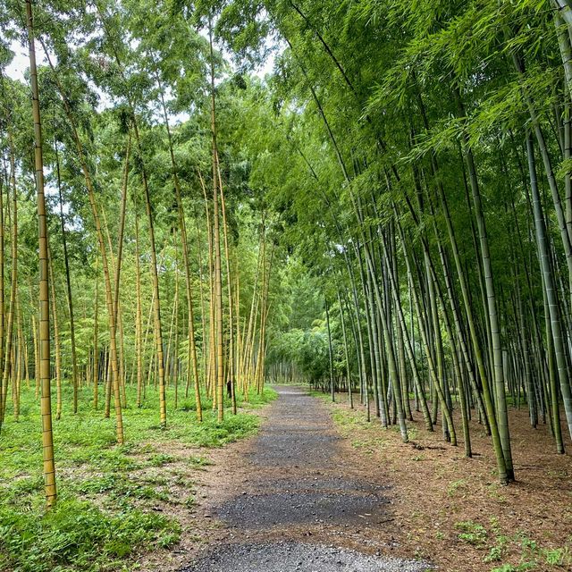 若竹の杜 若山農場 🎋