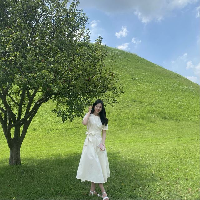 파릇파릇한 경주 대릉원