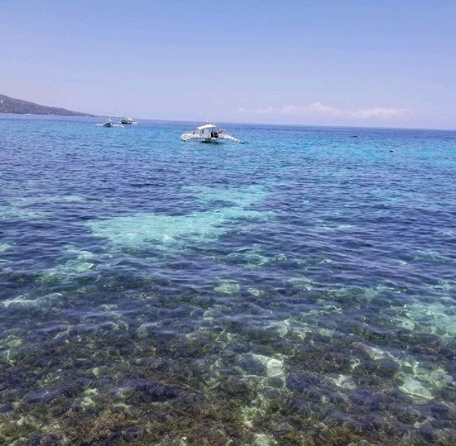 宿霧🏝️夢幻小島 一島一Resort 宿霧🏝️夢幻小島 一島一Resort