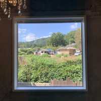 대전 송강동에 있는 너무너무 예쁜 주택개조카페 데이지🪴🏡