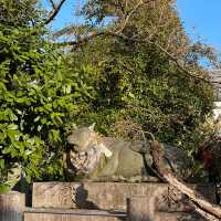 【京都】北野天満宮｜学問の神様🎓✨