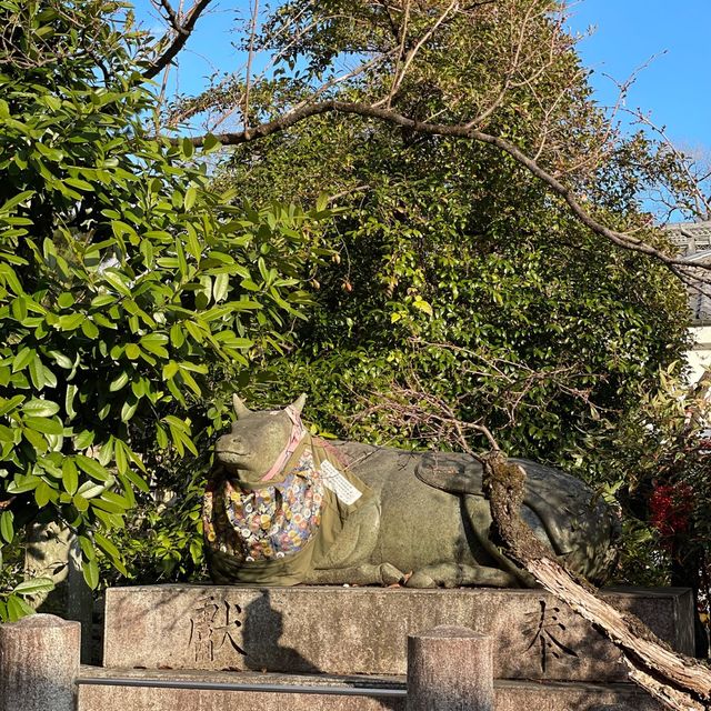 【京都】北野天満宮｜学問の神様🎓✨