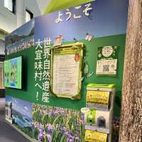 【沖縄･本島】世界自然遺産やんばるの森を知る道の駅