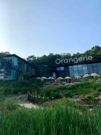 엄청난 크기, 엄청난 뷰의 양주 오랑주리 카페 🌿