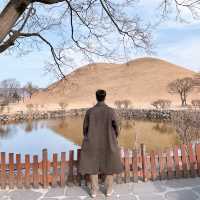경주 포토존 여행코스 , 대릉원 