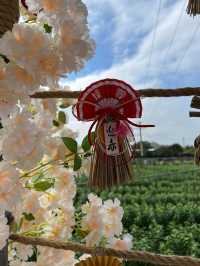 元朗信芯園重開，全新嘅日本🇯🇵主題打卡勝地