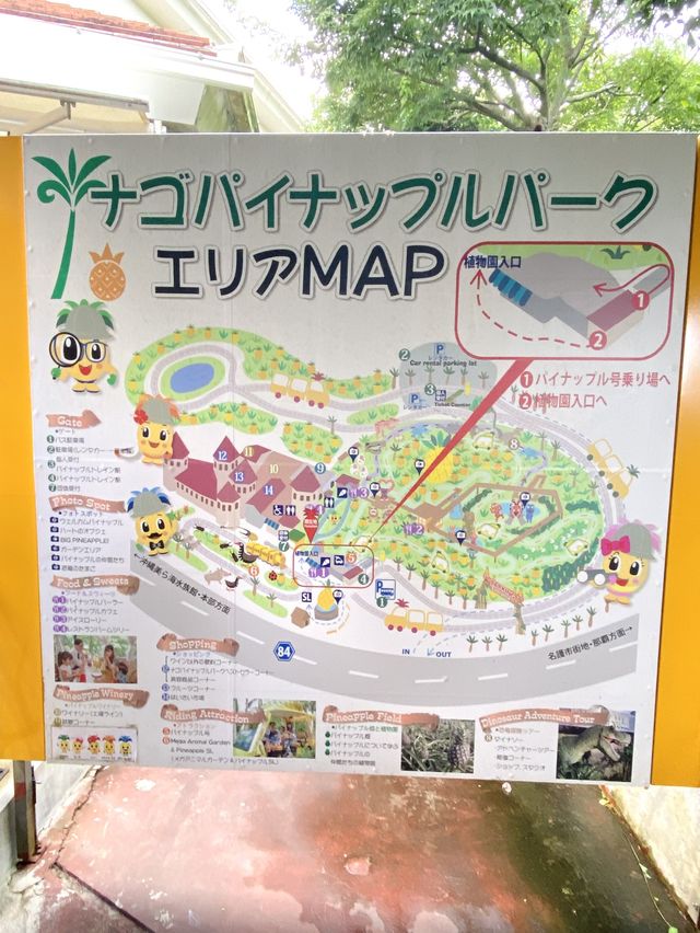 【沖縄】ぜんぶパイン🍍ナゴパイナップルパークが楽しい！