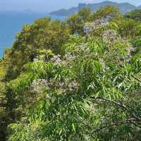 油塘調景嶺魔鬼山輕鬆遊