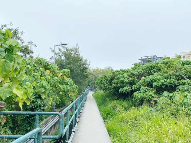 大灣肚沙灘無敵海景