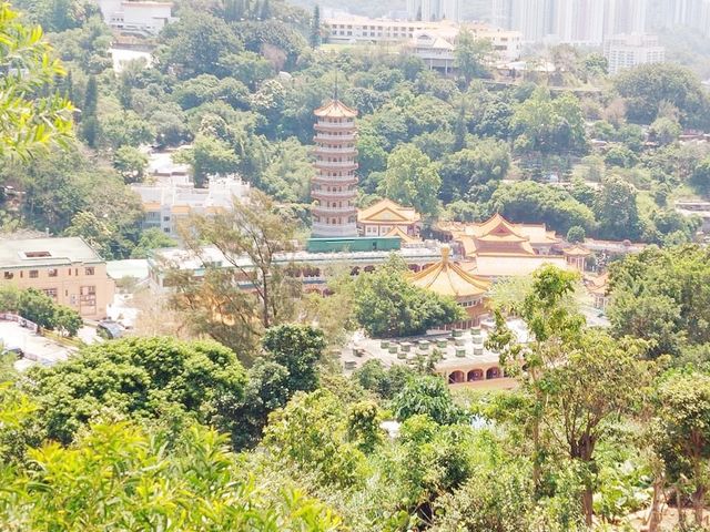 菠蘿壩自然教育徑